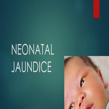 NEONATAL JAUNDICE PPT.pdf