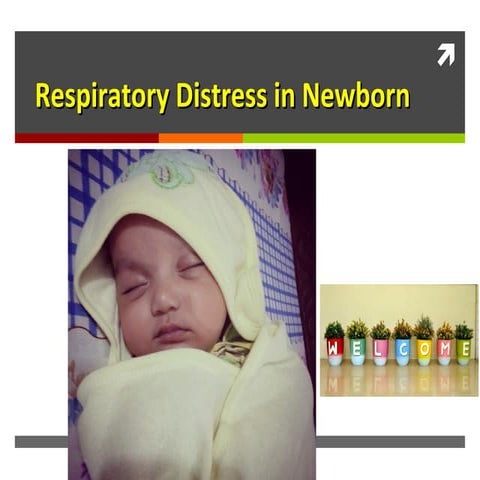 Neonatal resp distress