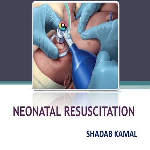 Neonatal resuscitation