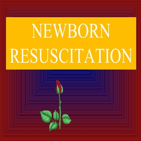 neonatal resuscitation(1).pptx in obstetrics and gynecology