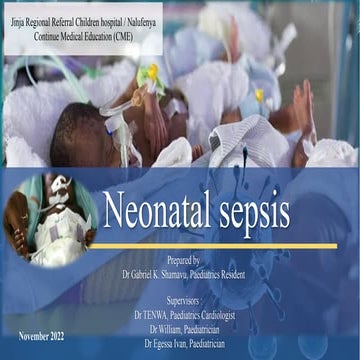 Neonatal sepsis : overview of epidemiology, pathogenesis, pathophysiology, cl...