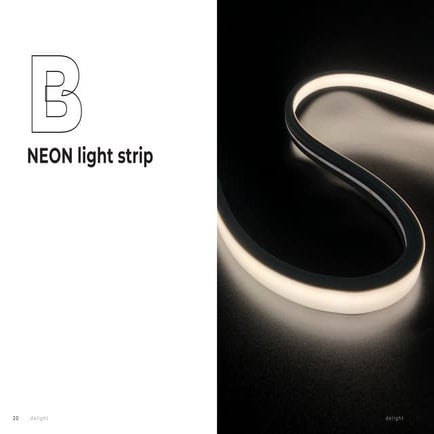 LED Neon strip | PDF