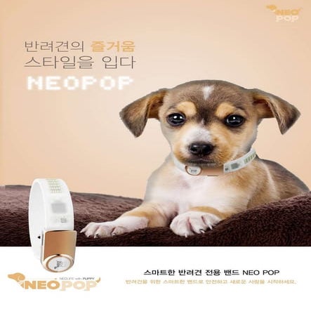 [인천] Neopop 팜플렛 안 v1.0