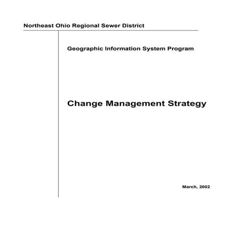 Change Management Strategy