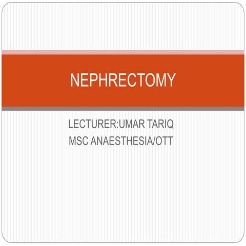 Nephrectomy