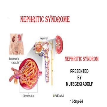 NEPHROTIC SYNDROME. a kidney disorder characterized by: Severe ...