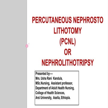 Nephrolithotomy