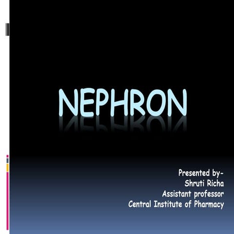 Anatomy of Nephron
