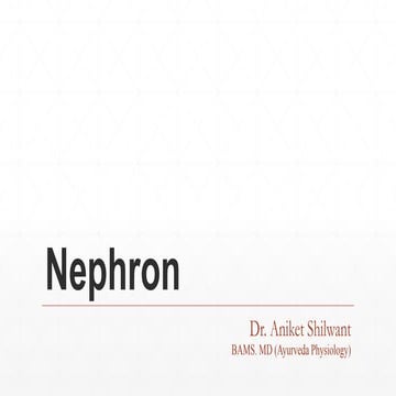 STUDY OF BASIC FUNCTIONAL ANATOMY OF NEPHRON