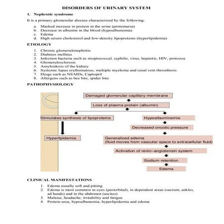 NEPHROTIC SYNDROME.pdf