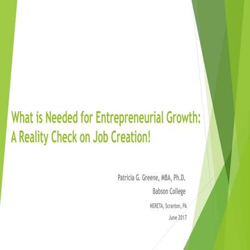 Nereta Job Creation Summit - June 2017 entrepreneurial growth reality check