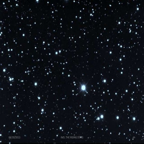 IM5: Cole, Dalton, Dana, Will, Gabe