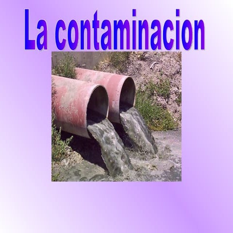 Problemas Ambientales