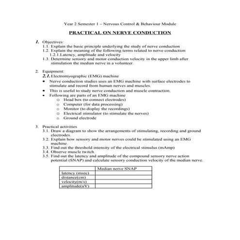Practical Handout: Nerve conduction 