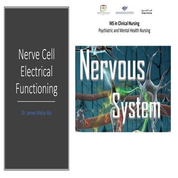 Nerve Cell Electrical Functioning.-drjma.pdf