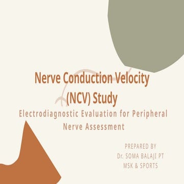 Nerve Conduction Velocity (NCV) Study: Principles, Procedure & Clinical Applications in Neurodiagnosis
