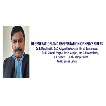 Nerve fiber _ degeneration_regeneration.pptx