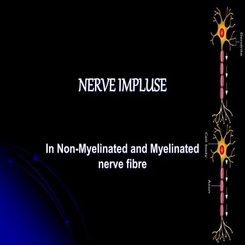 Nerve impulse