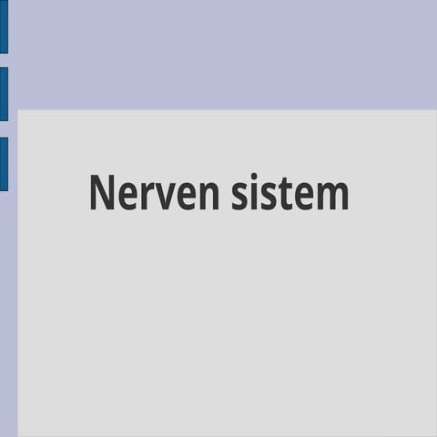 Презентација за осмо одделение, нервен систем | PPT