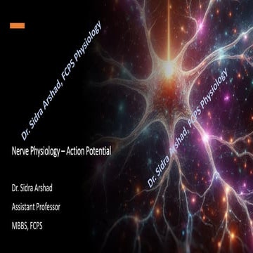 Nerve Physiology - Nerve Action Potential | PPT