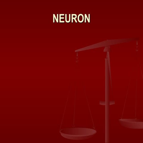 nerve physiology 1 NEURON propertiesss.ppt