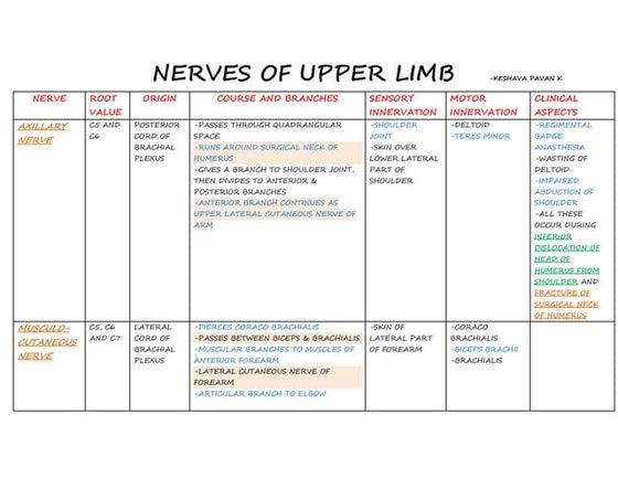 An easy way to learn upper limb muscles | PDF