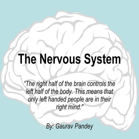Nerves system(CNS, PNS) 