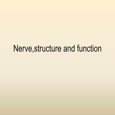 Nerve,structure and function