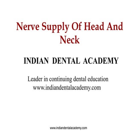 Nerve supply of head and neck 