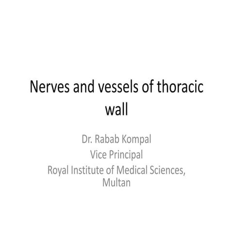 Nerves, vessels of thoracic wall