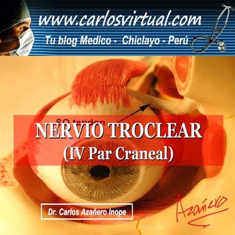Nervio Troclear | PDF