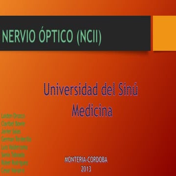 NERVIO ÓPTICO 