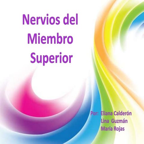 Nervios del mienbro superior anatomia UAN 
