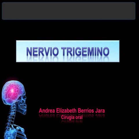 Nervio trigemino 