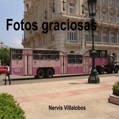 Nervis villalobos