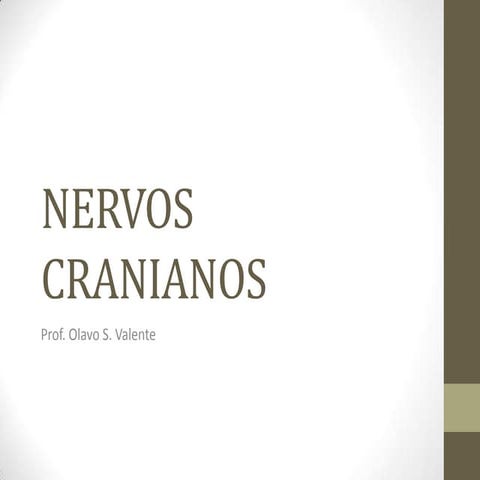 Nervos cranianos