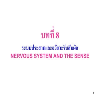 ระบบประสาท - Nervous system