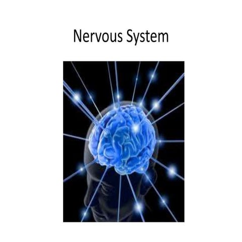 Nervous system