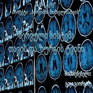ნერვული სისტემა-Nervous-system