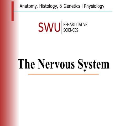 system organ The human body is made up of