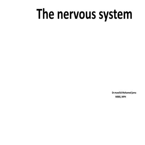 nervous-system gollis.pptx