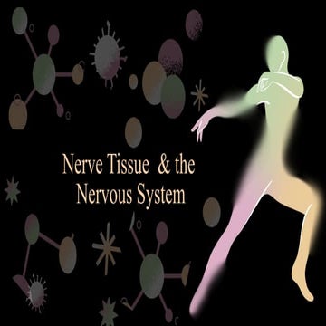 Nervous and Endocrine Systems presentation in colorful illustrative style.pptx