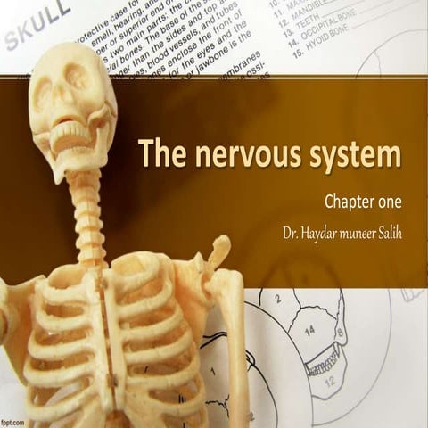 Nervouse system chapter one