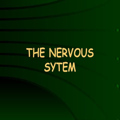 Nervous System