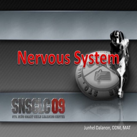 Nervous System