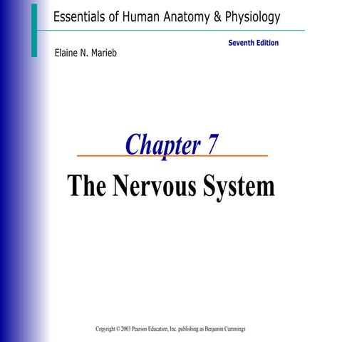 Nervous system