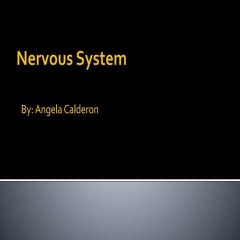 Nervous system chapter 12 | PPTX