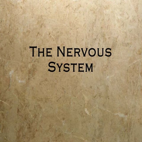 Nervous system