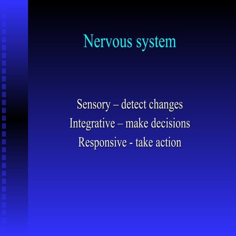 Nervous system