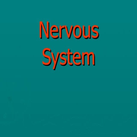 Nervous system